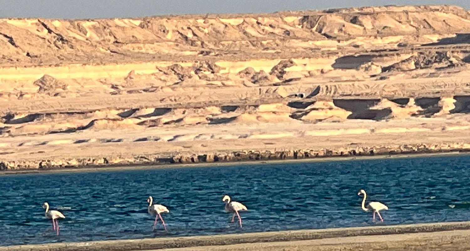 WhatsApp Image 2025-03-11 at 9.46.51 PM.jpeg